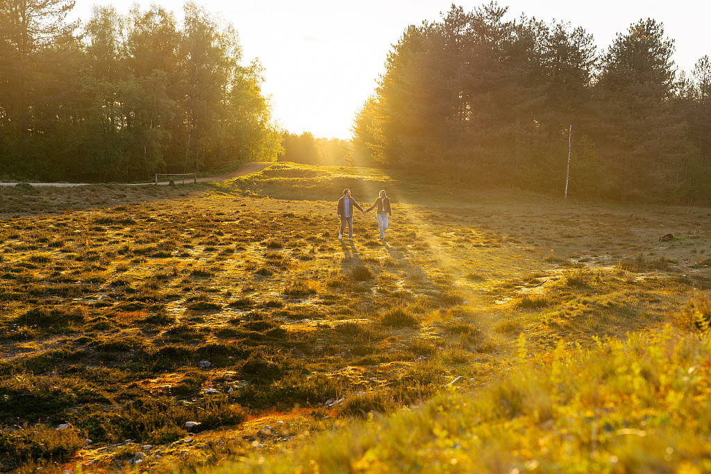 Paar im goldenen Abendlicht in der Heide – Paarshooting Mosipictures