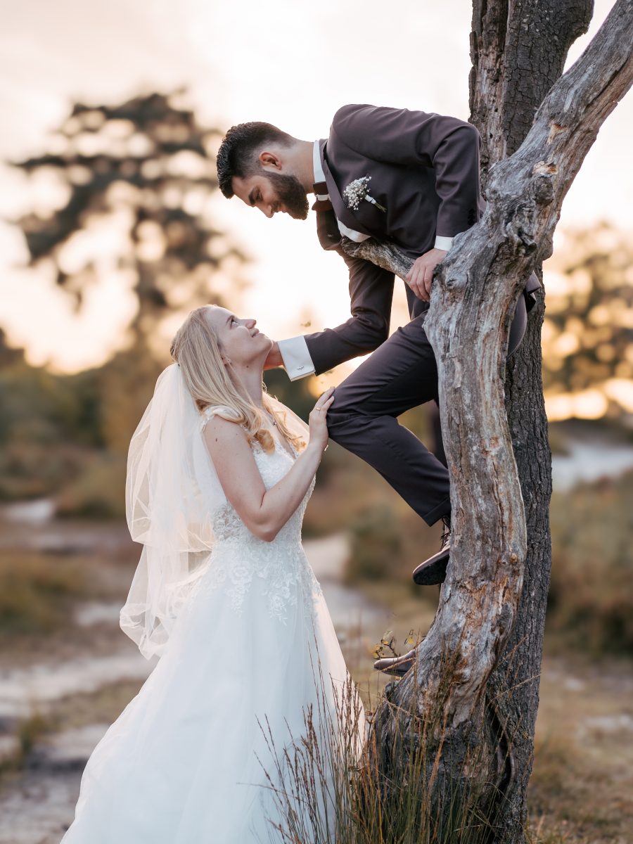 Brautpaar in der Heide im Abendlicht – Hochzeitsfotografie Mosipictures