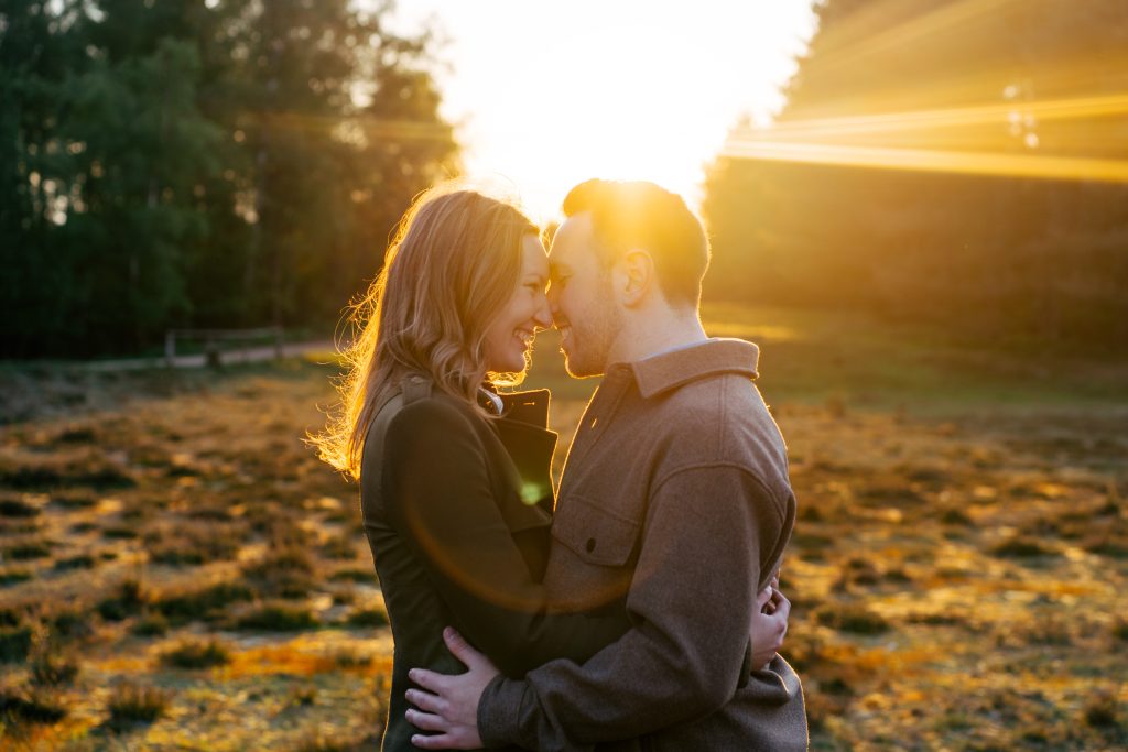 Paar im goldenen Abendlicht in der Heide – Paarshooting Mosipictures