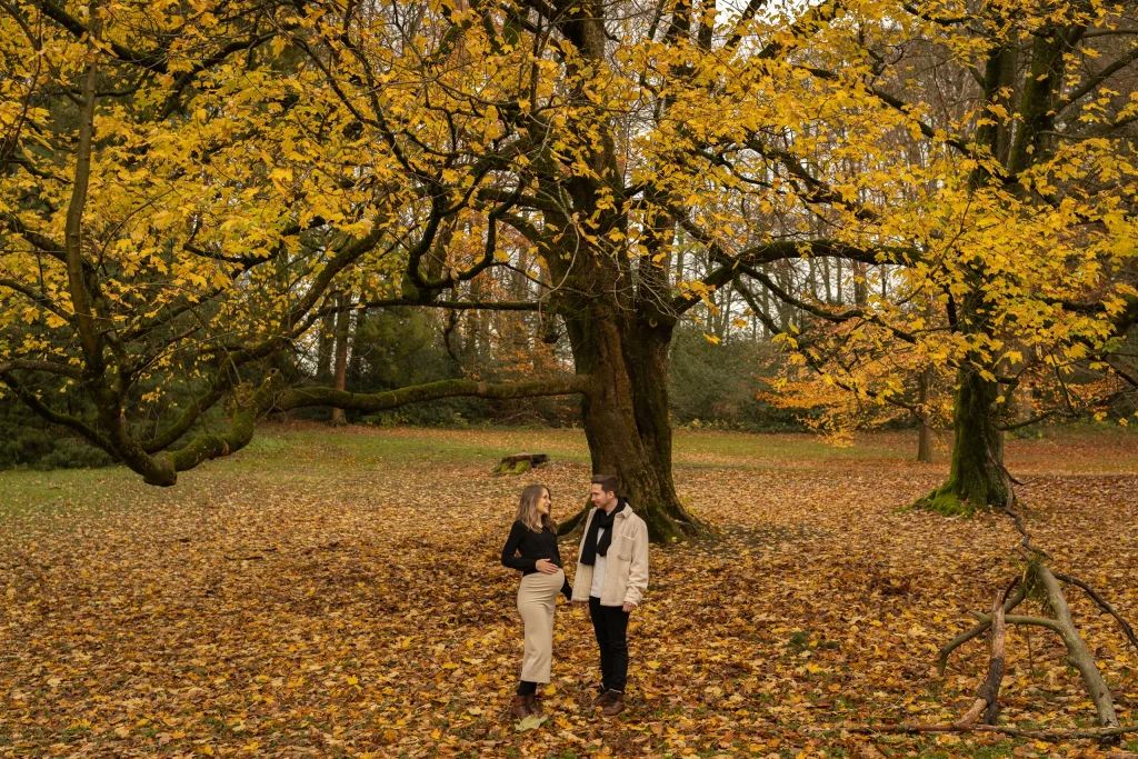 Paar unter goldgelben Herbstbäumen im Park – Babybauch-Shooting von Mosipictures